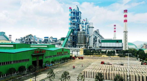 世界首條吸碳制磚生產(chǎn)線在華新成功運(yùn)行 入選全球建材十大科技新聞