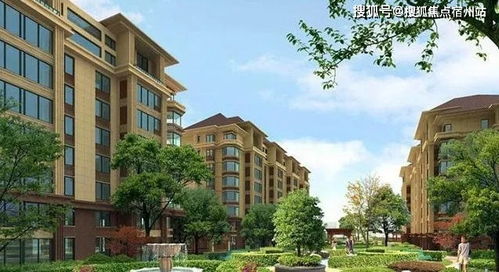 嘉興東鼎名人府邸項(xiàng)目簡(jiǎn)介在這找房樓盤(pán)動(dòng)態(tài)實(shí)時(shí)又透明 水岸洋房