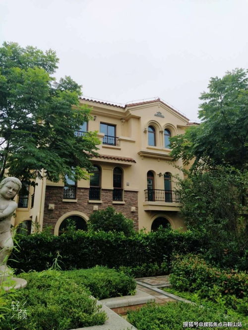 青浦 火到什么程度 開(kāi)發(fā)商直銷(xiāo) 售樓中心